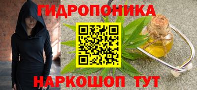 крисы Тулун