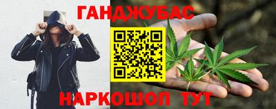 крисы Тулун