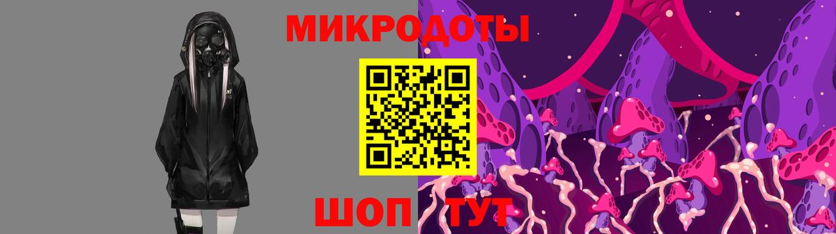 Сарапул  Галлюциногенные грибы Cubensis  Вход с VPN 